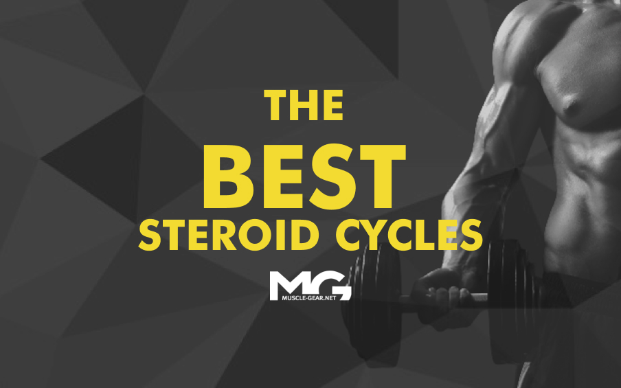 The Best Steroid Cycles Reviews Results Of Steroid Cycle MG Blog