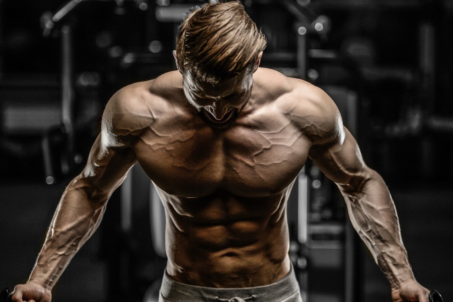 Things that you must know about SARMS - Reviews & Results of Steroid Cycle  | MG Blog