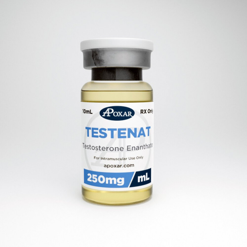 Buy Testosterone Enanthate Apoxar Canada Steroids