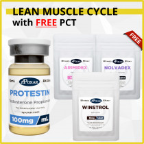Testosterone Propionate and Winstrol Cycle with Free PCT - 6 Weeks - Lean Muscle Mass