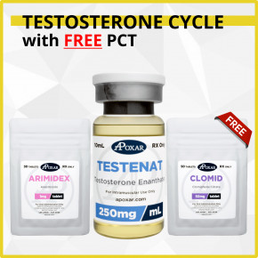 Testosterone Cycle with Free PCT - 8 Weeks - Muscle Mass