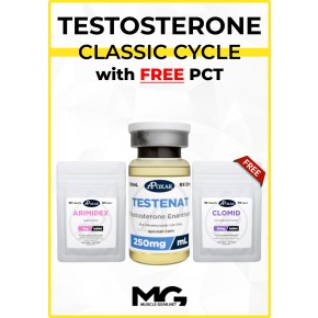 Testosterone Cycle with Free PCT - 8 Weeks - Muscle Mass