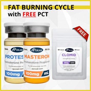 Testosterone Propionate and Masteron Cycle with Free PCT - 6 Weeks - Fat Burning and Lean Look