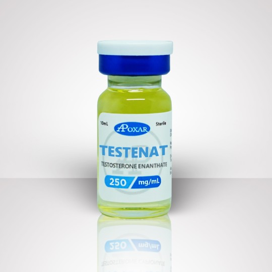 Testosterone Enanthate 250mg/ml - Apoxar