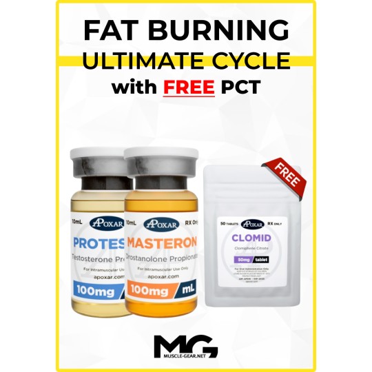 Testosterone Propionate and Masteron Cycle with Free PCT - 6 Weeks - Fat Burning and Lean Look