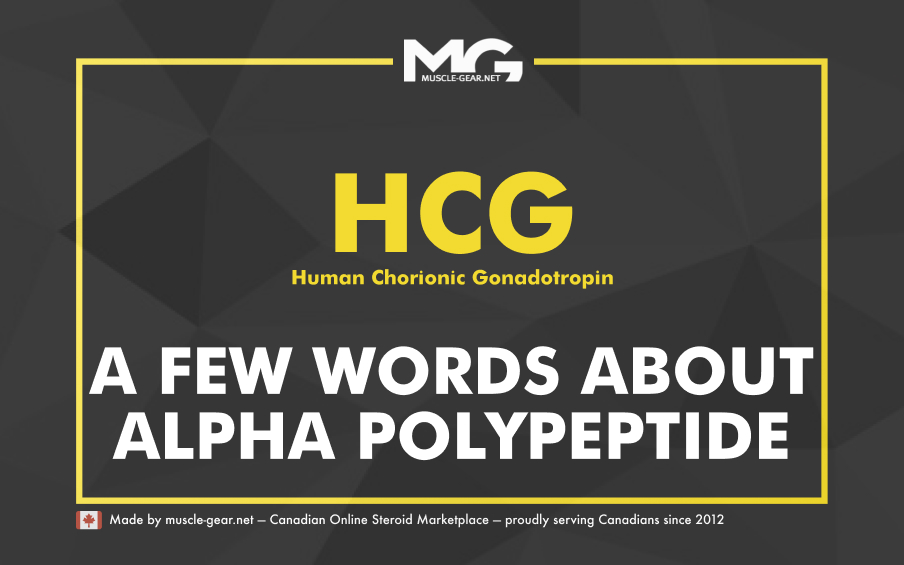 A few words about HCG