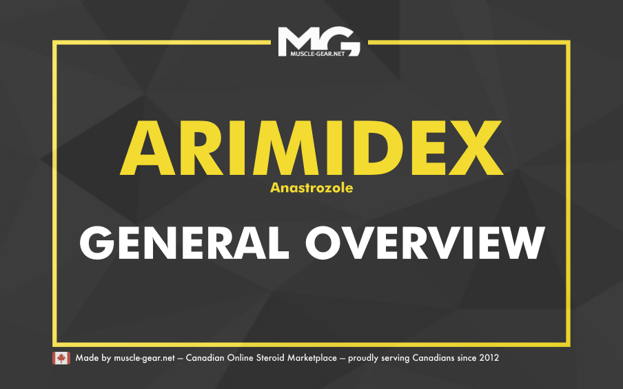 Arimidex Guide for Bodybuilders: Estrogen Control, Dosage, and Real On-Cycle Results
