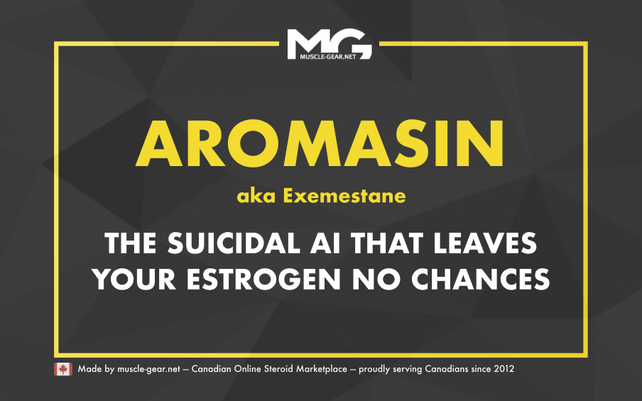 Complete Guide to Aromasin aka Exemestane AI