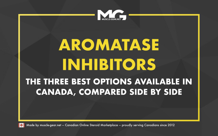 Aromatizing Steroids and AIs — All You Need to Know