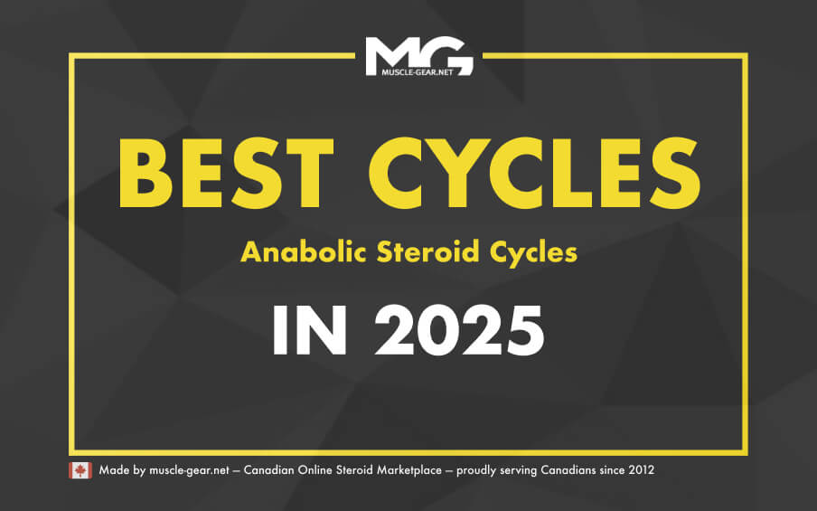 All the Best Steroid Cycles in 2025
