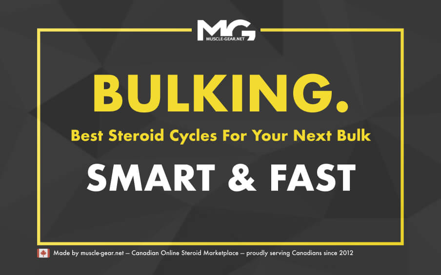 Best Steroid Bulking Cycles in 2025