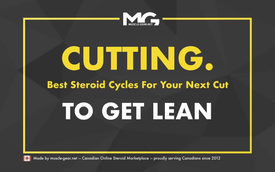 Best Steroid Cutting Cycles in 2025