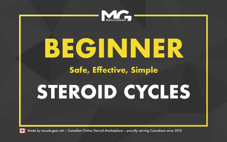 Best Anabolic Steroids for Beginners in 2025