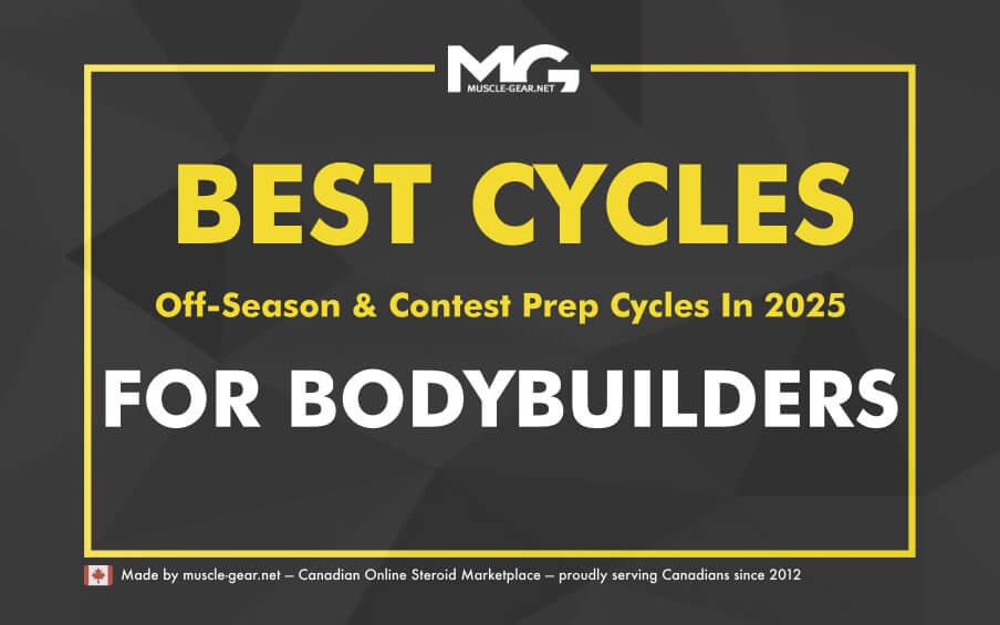 The Best Anabolic Steroids for Bodybuilding