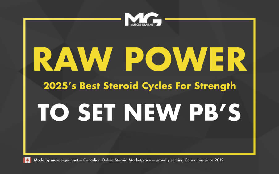 Best Steroid Cycles for Strength in 2025
