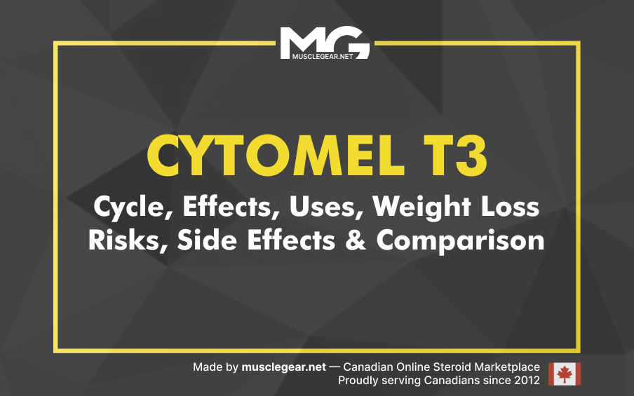 Cytomel T3 Cycle and Effects: Uses, Weight Loss Risks, Side Effects & Comparison