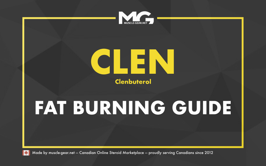 Clenbuterol Cycle, Reviews and Side Effects