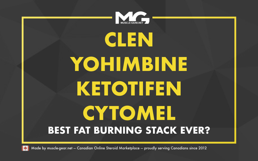 Clenbuterol, Ketotifen, T3 and Yohimbine Stack Guide