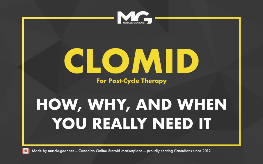 The Ultimate Clomid PCT Guide