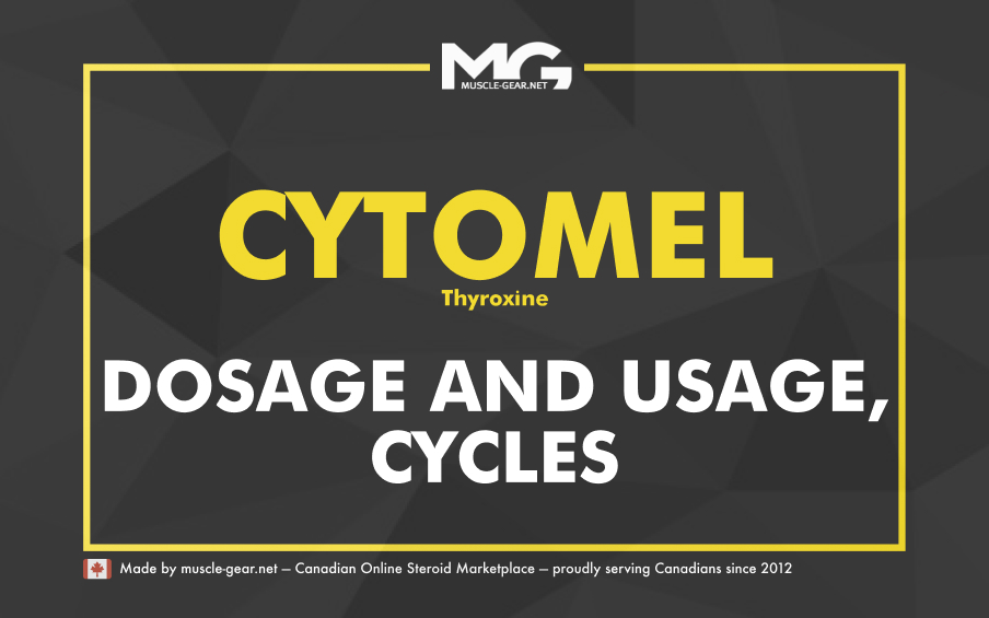 Cytomel T3 Cycle and Effects