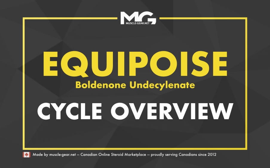 Equipoise: Cycles and Results