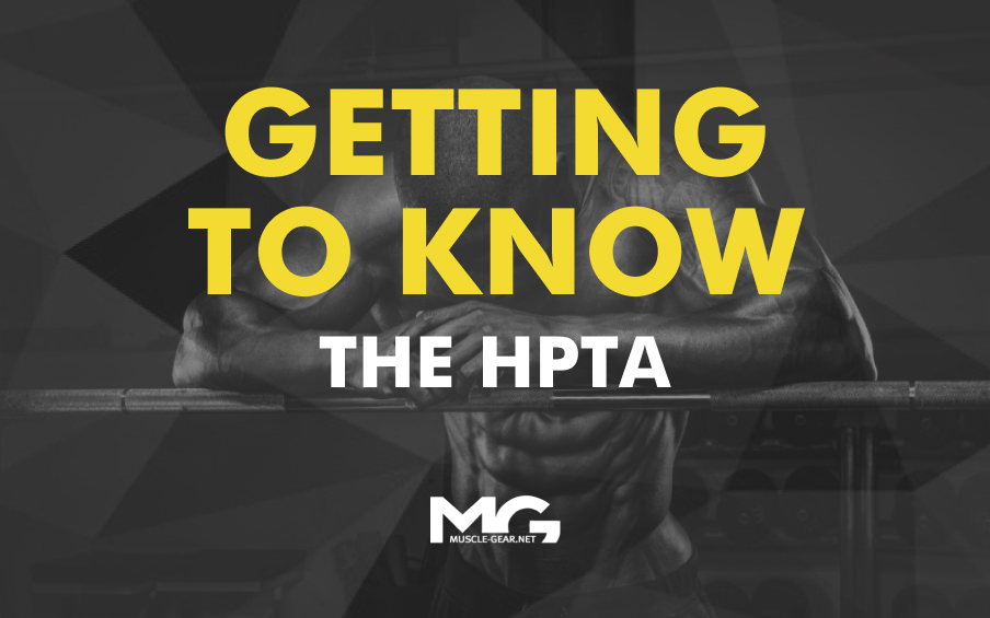 Getting to Know the HPTA