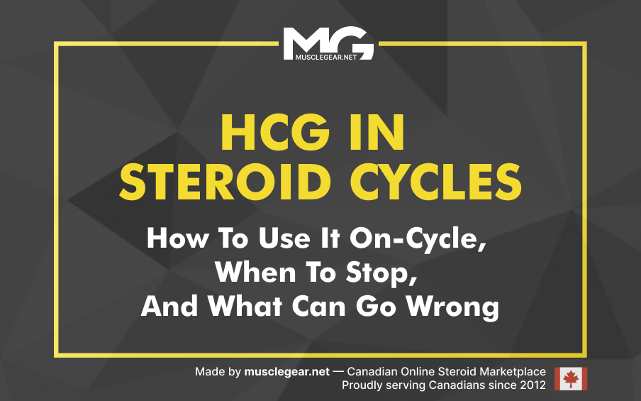 HCG in Steroid Cycles: How to Use It On-Cycle, When to Stop, and What Can Go Wrong