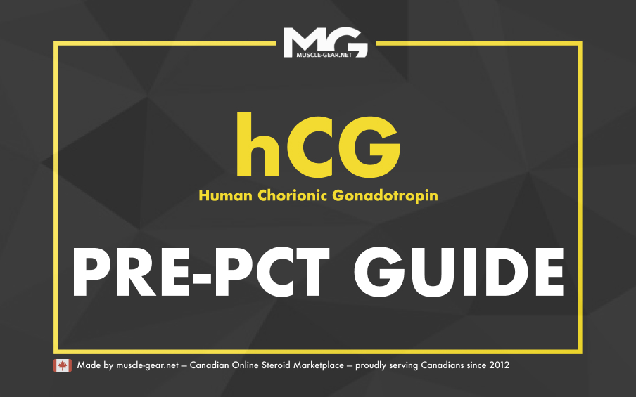 All You Need to Know About hCG on PCT