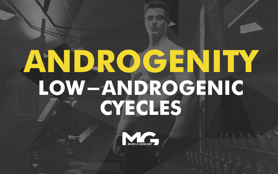 Low-androgenic Cycles. What Is Androgenity?