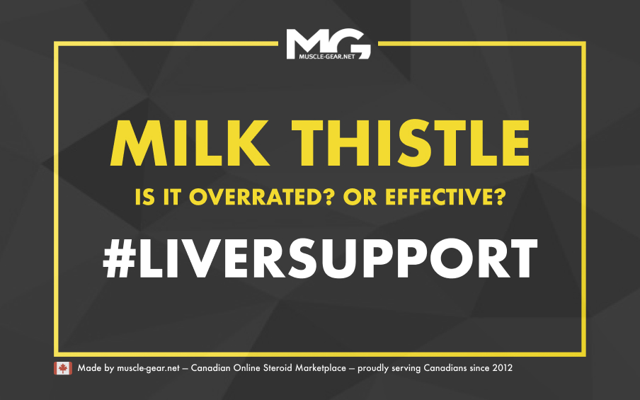 Milk Thistle for Liver Support: Is it Overrated?