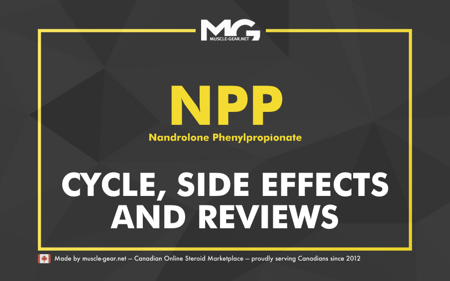 Nandrolone Phenylpropionate (NPP) Cycle, Side Effects and Reviews