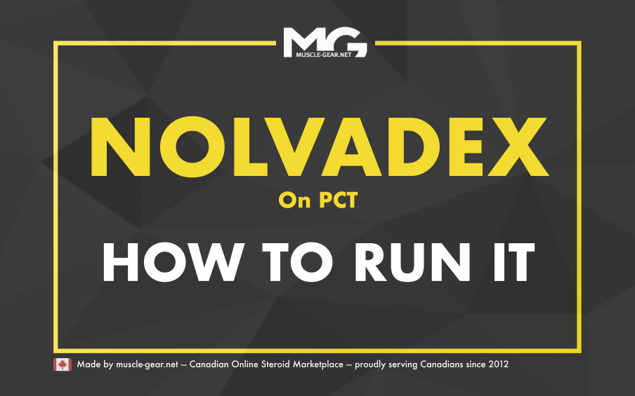 The Complete Nolvadex PCT Guide