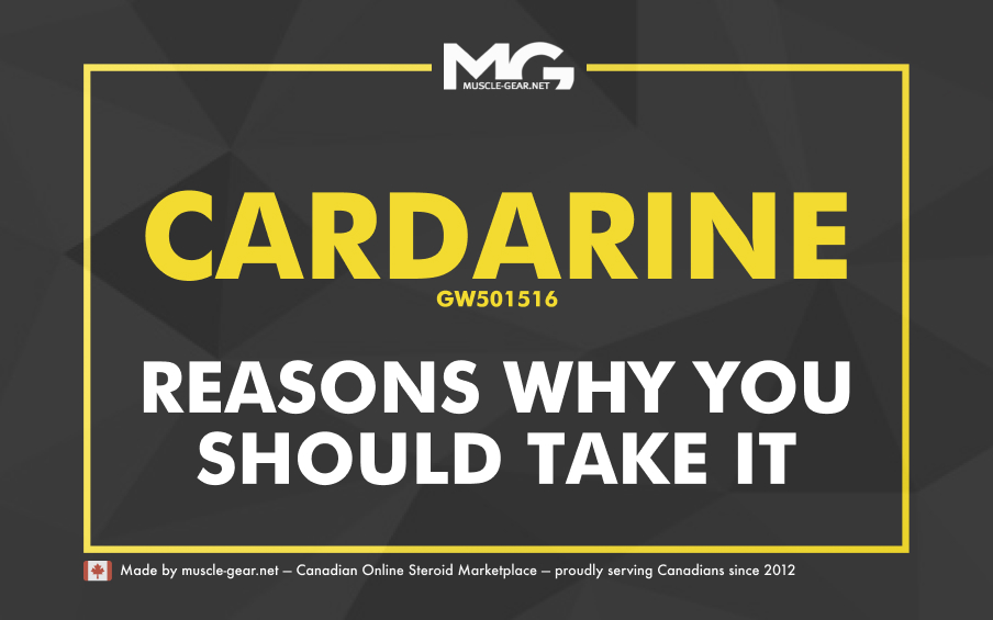 8 reasons why Cardarine or GW501516 is the best fat burner