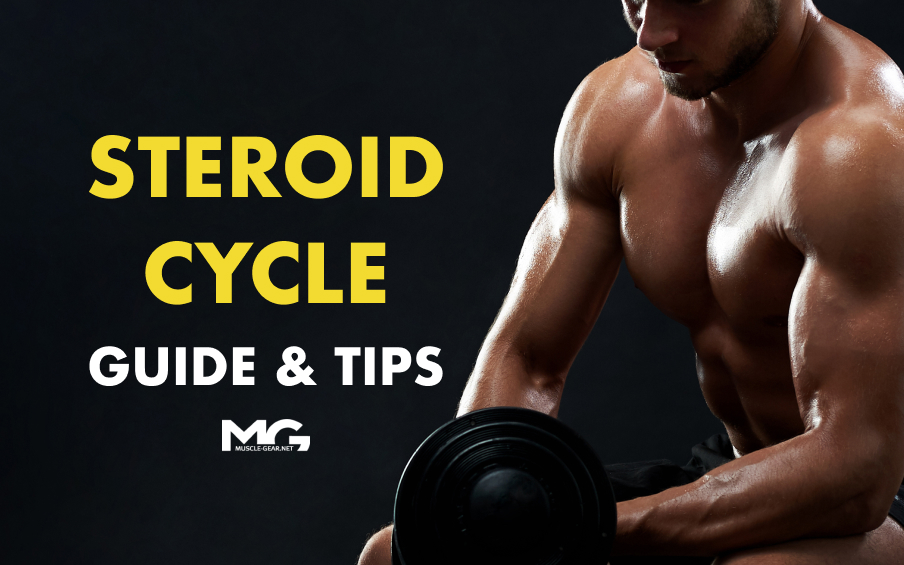 How to Cycle Steroids Right?
