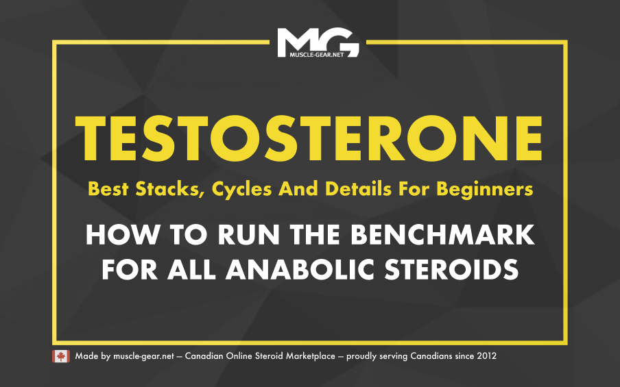 Testosterone Enanthate Cycle Guide & Details