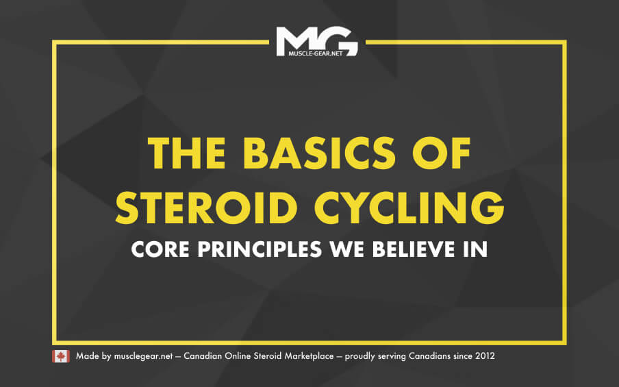 The Basics of Steroid Cycling We Live By