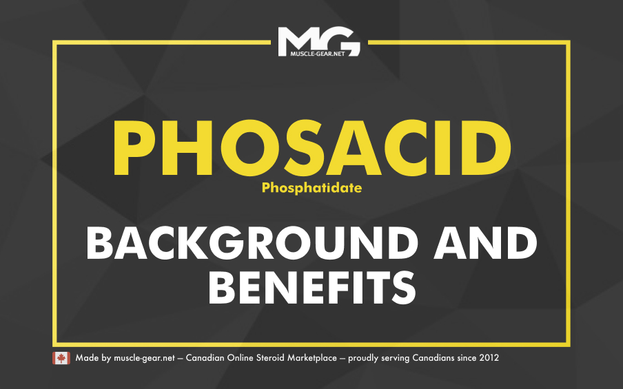 The Benefits of Phosphatidic Acid Supplementation 