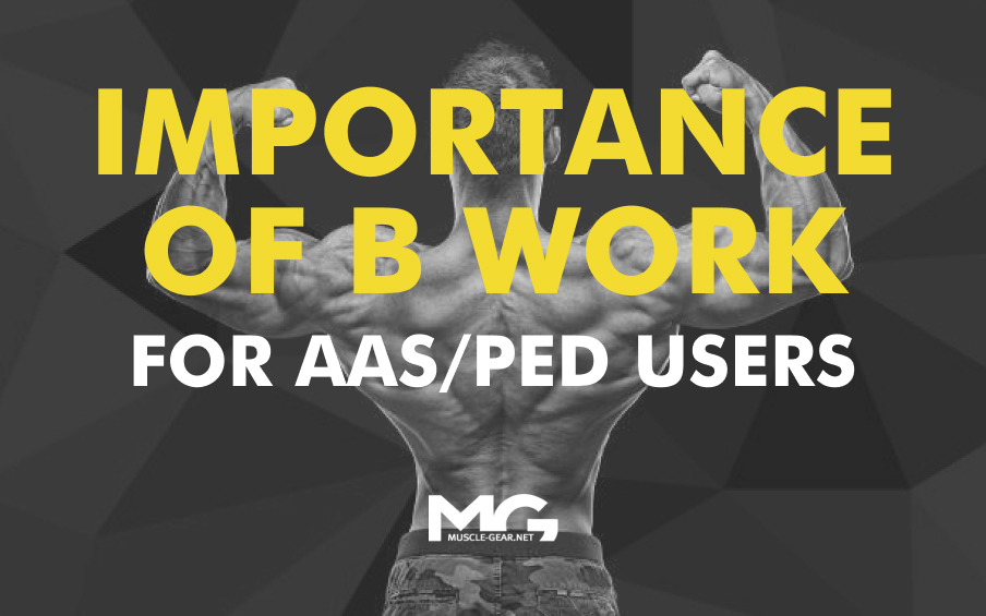 The Importance of Blood Work for AAS/PED Users