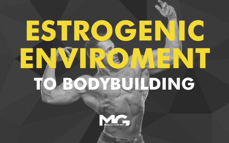 The Significance of the Estrogenic Environment to Bodybuilding