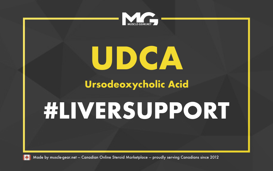 UDCA for Liver Support: The Ultimate Guide