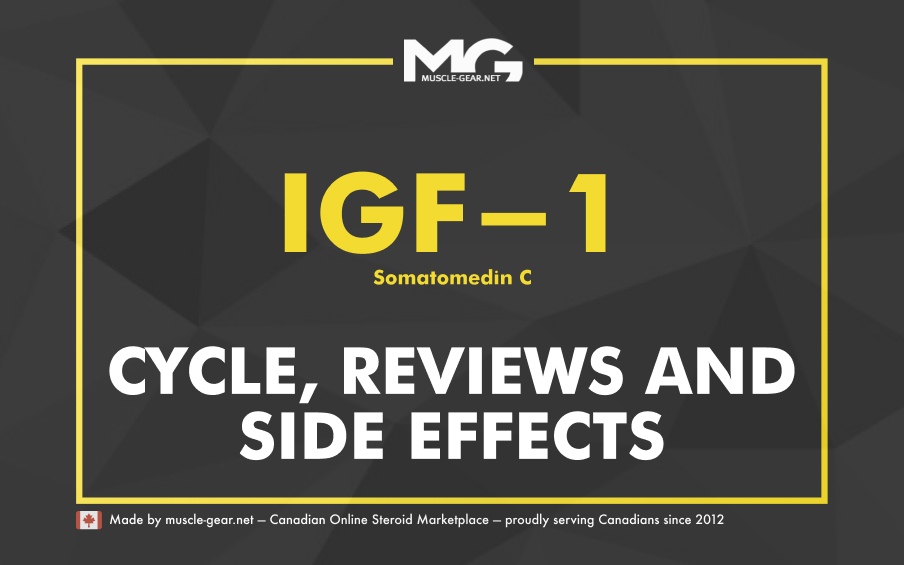 What is IGF-1? Cycle, Reviews and Side Effects