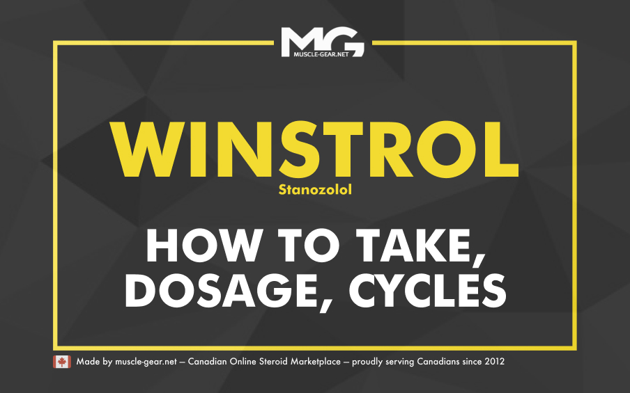 Winstrol (Stanozolol) - Cycles, Dosage, How to take