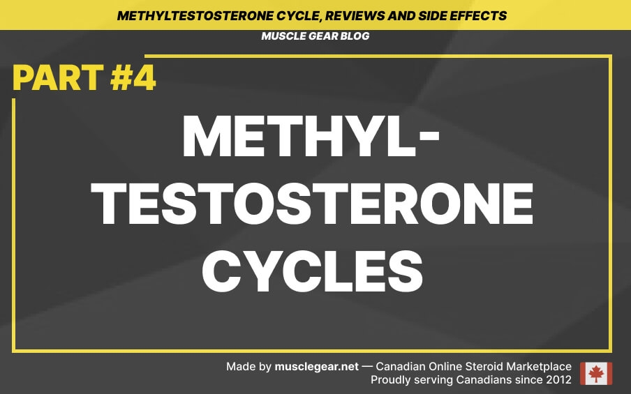 Methyltestosterone cycle guide