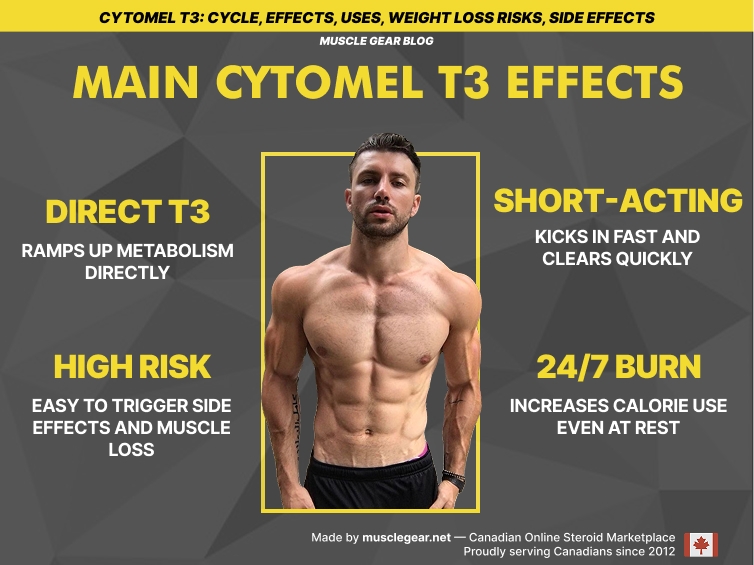 Cytomel effects