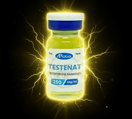 Buy Testosterone Enanthate in Canada by Apoxar – 250mg/ml
