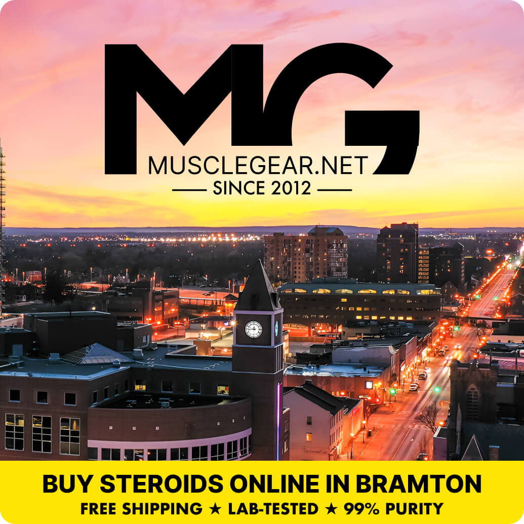 Buy Steroids in Brampton - Muscle Gear