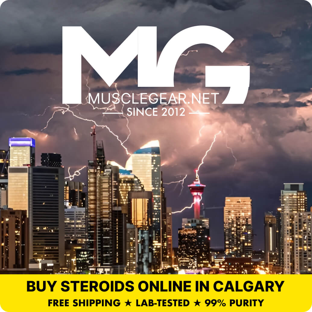 Buy Steroids in Calgary - Muscle Gear