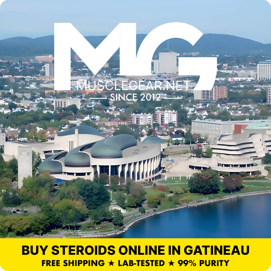 Buy Steroids in Gatineau - Muscle Gear
