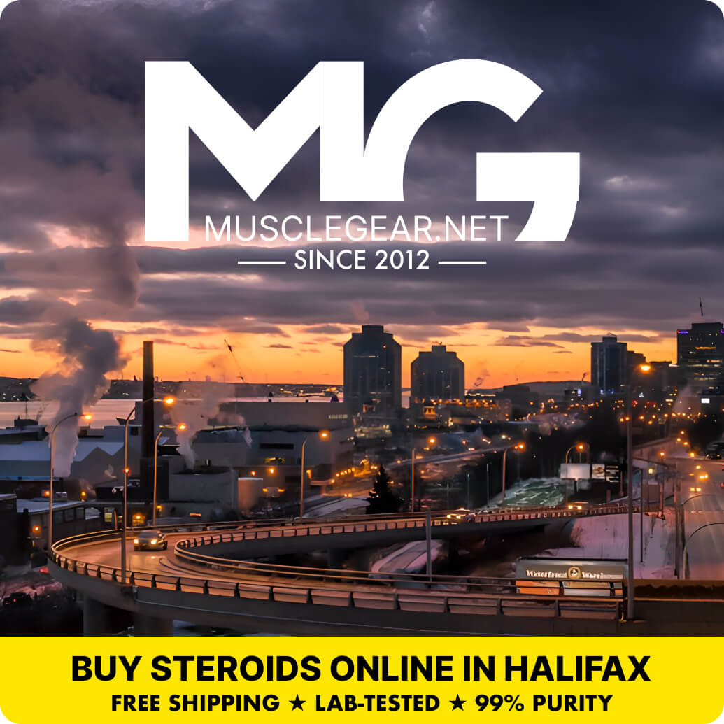 Buy Steroids in Halifax - Muscle Gear