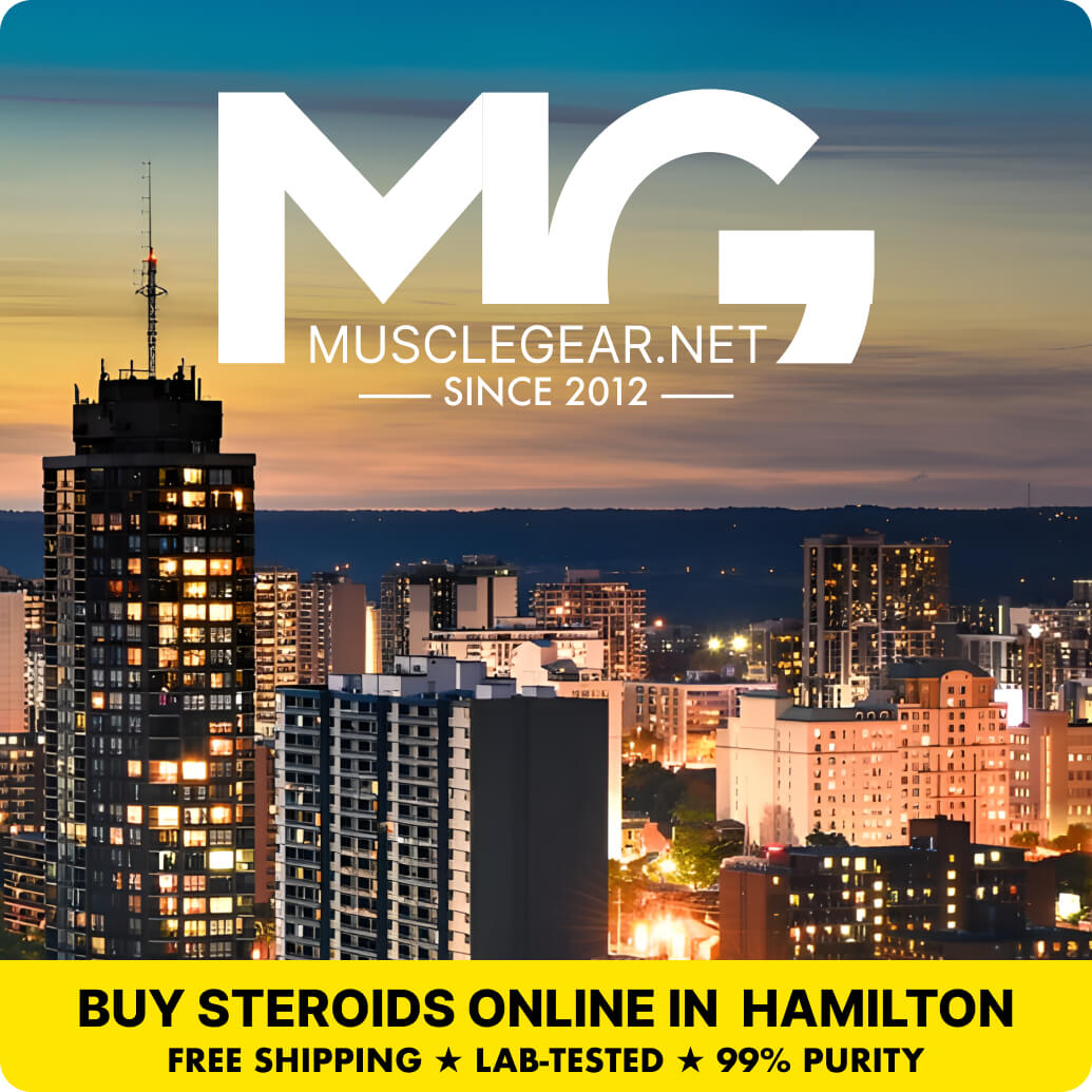 Buy Steroids in Hamilton - Muscle Gear